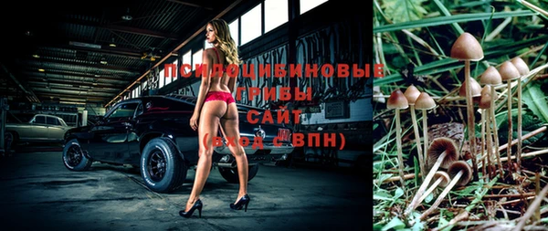 МДПВ Алзамай