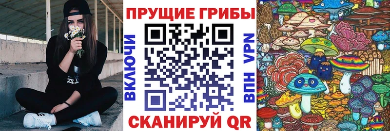 KRAKEN   Люберцы  Галлюциногенные грибы Psilocybe 