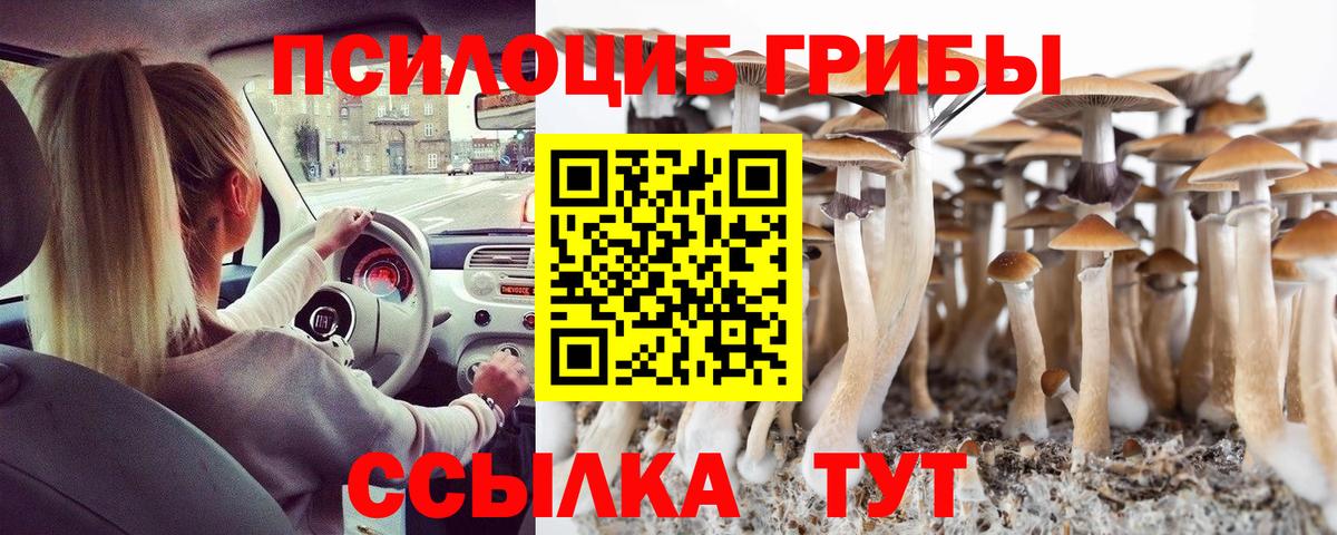 Галлюциногенные грибы Cubensis  дарнет шоп  Люберцы  Вход с VPN 
